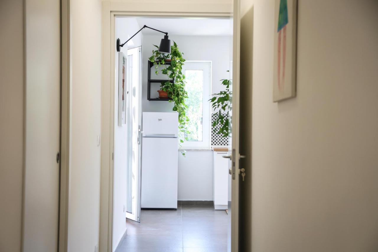 Tenuta Don Alfonso Nápoly Kültér fotó